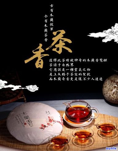 云南才者茗品普洱茶