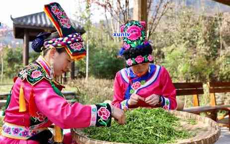 云南才之者茶叶：源自云南名山古寺的茶文化传承者与创新者