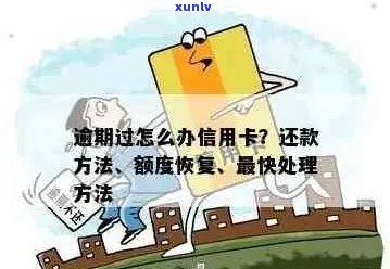 信用卡逾期还款攻略：最快速解决 *** 一览