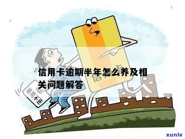 信用卡逾期后怎么养护