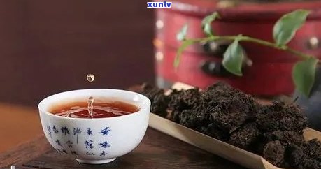 你喜欢喝普洱茶吗？如果是的话，你最喜欢哪一种普洱茶呢？