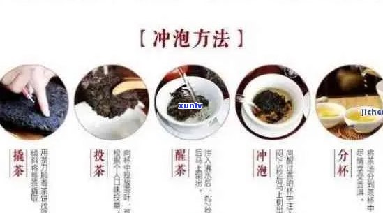 普洱茶的魅力：品质、功效与泡法的全面解析，告别误解，享受茶香人生