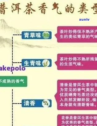 龙普洱茶：品质、产地、口感、功效与价格全面解析，助您轻松辨别名牌茶