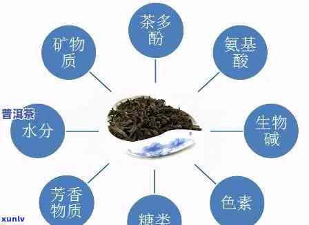 普洱茶熟茶的全面成分解析：从营养价值到化学成分的详尽探讨