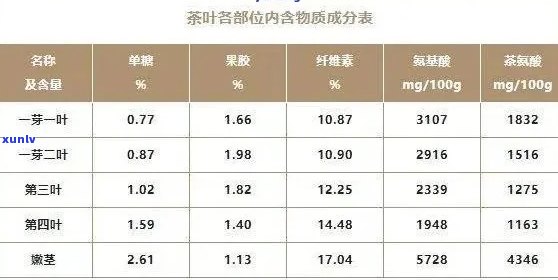 普洱茶熟茶的全面成分解析：从营养价值到化学成分的详尽探讨