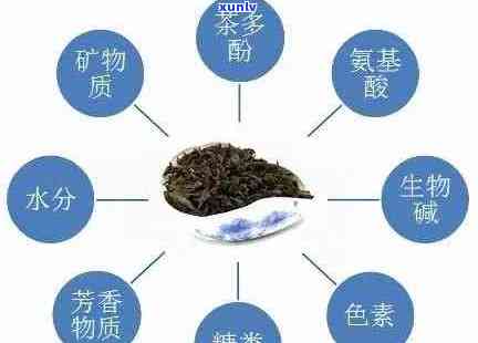 探索熟普洱茶的健益处：一篇全面的营养价值分析