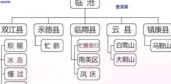 广东普洱茶：产地、特点与品鉴技巧