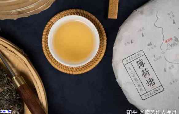 从广东买普洱茶靠谱