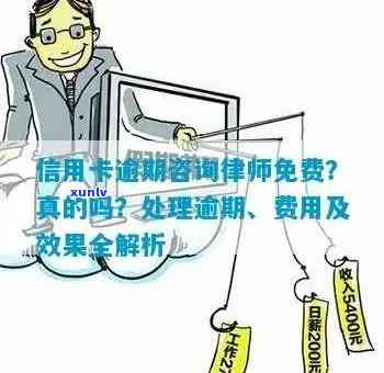 免费咨询信用卡逾期问题，助您解决财务困扰