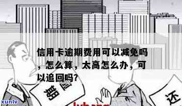 信用卡逾期费用减免申请：高吗？多少？标准与流程详解