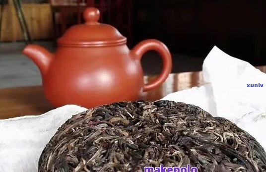 新普洱茶品鉴之旅：如何挑选合适的茶饼、茶砖和茶坨？