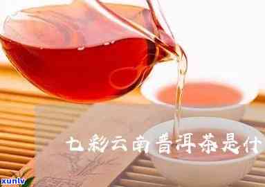 全面解析：七彩云南普洱茶的品质、功效与泡法，解答您的所有疑问