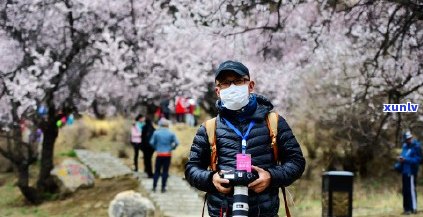 信用卡逾期后如何在 *** 地区进行投诉和解决？