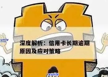 信用卡逾期困境：全面解决方案与自救指南