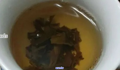 普洱茶几秒出水正常吗？普洱茶出水时间及效果解析