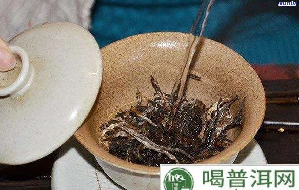 普洱茶泡的时候要