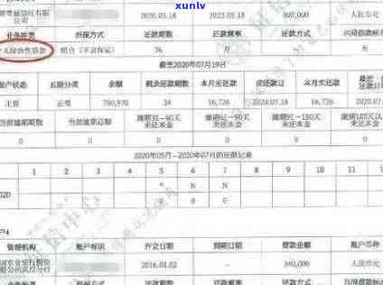 信用卡逾期记录查询全攻略：如何查找你的逾期时长和详情