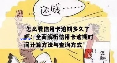 怎么查询信用卡逾期时间