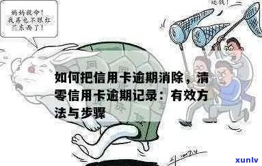 逾期账单清零：信用卡还款后的重要步骤与注意事项