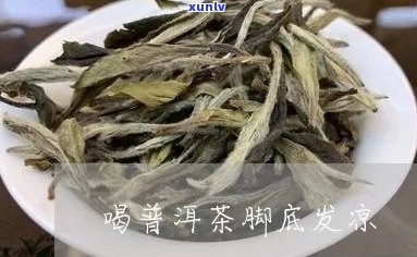 普洱茶脚是什么意思