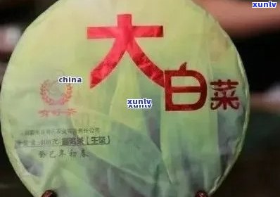 普洱茶大白菜的定义及其独特的风味特点是什么？