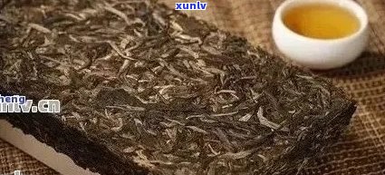 普洱茶大白菜的定义及其独特的风味特点是什么？