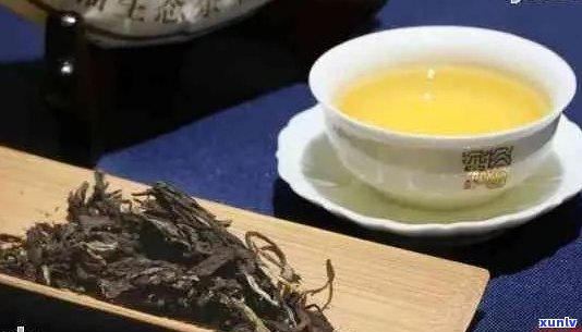 普洱茶大白菜的独特之处与品饮技巧：一篇全面解析的文章