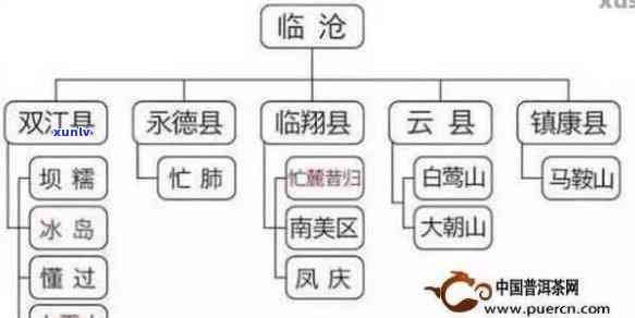 云南本地人常喝的普洱茶种类及其特点：一次全面的普洱茶推荐