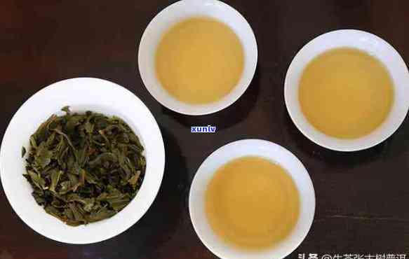 云南本地人常喝的普洱茶种类及其特点：一次全面的普洱茶推荐