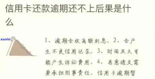 信用卡逾期利息相关问题全解析：如何避免支付额外利息？