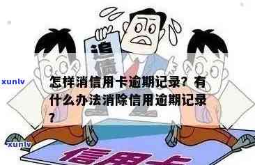 全面解析：散普洱茶的品质、功效与泡法，了解它是否适合你？