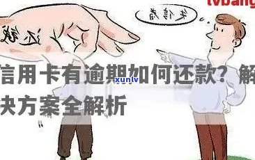 首次广发信用卡逾期解决策略：详细步骤与应对建议