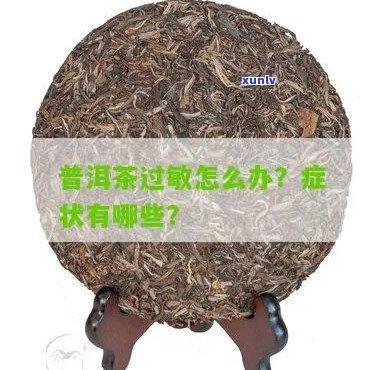 普洱茶引发全身过敏反应：原因、症状及解决办法