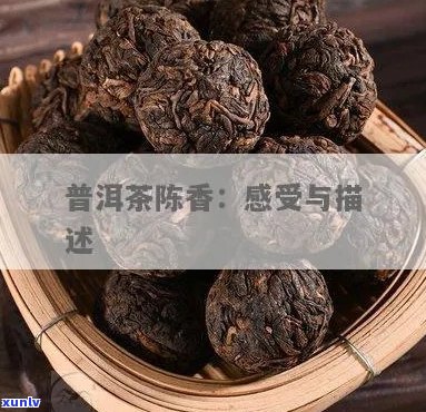 对普洱茶陈香的形容