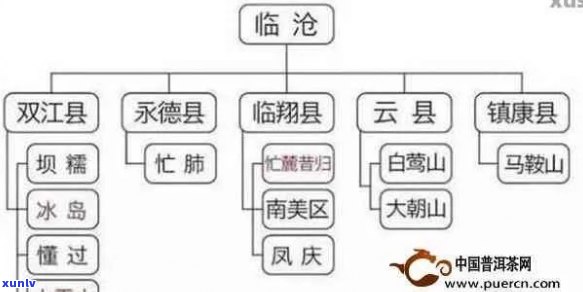 云南普洱茶品种、品质与价格一览：全面解析如何选购和比较普洱茶