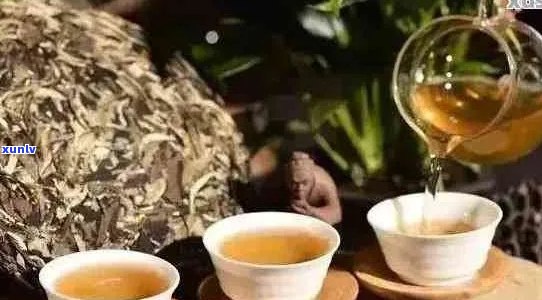 普洱茶饮用适宜人群与禁忌：哪些人应避免喝普洱茶？