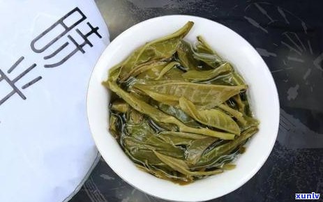 江普洱茶怎么卖的好喝？