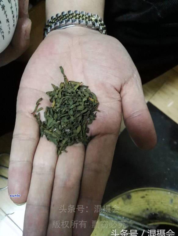 江普洱茶的价格上涨：原因、影响与市场现状分析