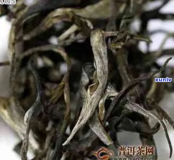 大箐寨普洱茶口感评价：品质如何？