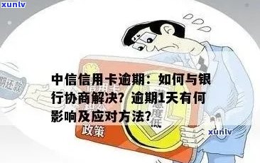 中信信用卡逾期问题全面解析：原因、后果、解决办法及如何避免逾期