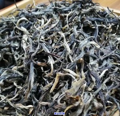 稀有的250g年份古树普洱茶：历，陈化，香气与回味的完美结合