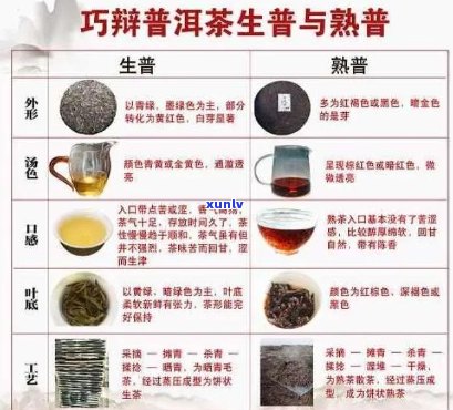 福寿茶的全面解析：品种、功效、泡法与品鉴，一篇解答所有疑问