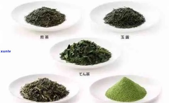 福寿茶的全面解析：品种、功效、泡法与品鉴，一篇解答所有疑问