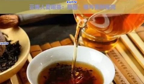 云南普洱茶五项因子：独特品质与健益处