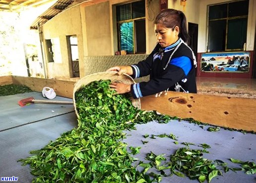 江城县普洱茶互联网