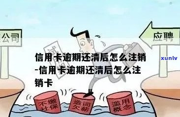 翡翠项链一般合适的克数是多少？