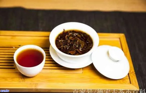 普洱茶的品鉴与冲泡技巧：从原料到口感，让你全面了解浓浓的普洱茶