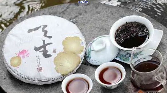 羽亭普洱茶：品质与价格，从羽到现代的传承