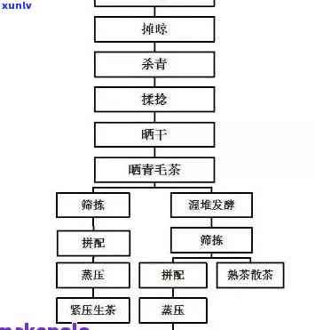 羽传承：古树普洱茶家谱与 *** 工艺