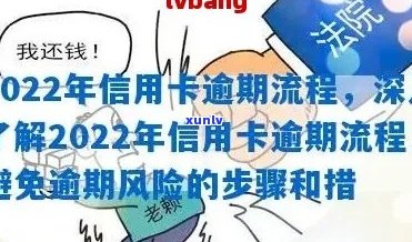 2022年信用卡逾期还款全流程：步骤、影响与解决方案